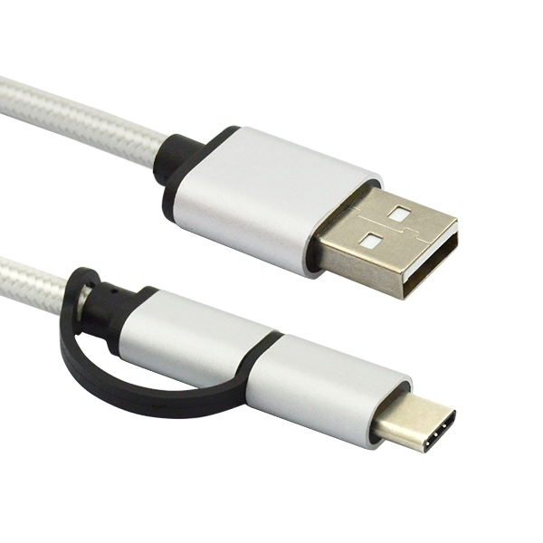 2 in 1 USB Type C